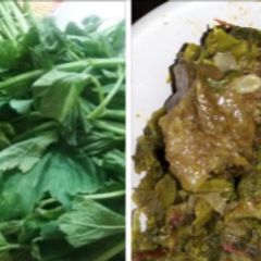 A picture of Kdoo leaf with beef.