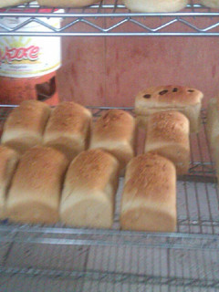 A picture of Sardine Bread.