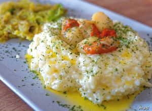 Une photo de Risotto au safran et Noix de St-jacques au Cook Expert