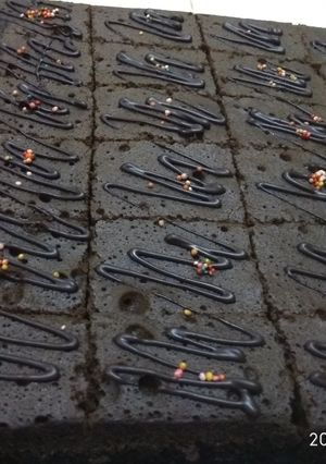 Foto resep Brownies lembut ekonomis
