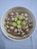 Tudai Bening (kerang dara)