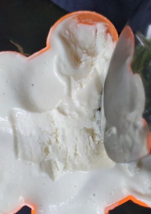 Foto resep Ice cream durian homemade