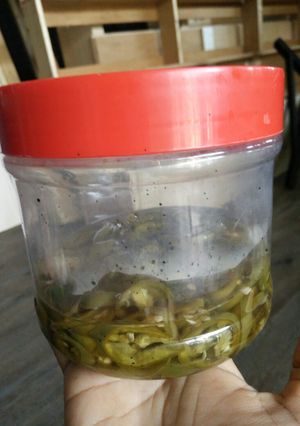 รูปของ Jalapenos pickle (พริกเขียวดอง) Jeruk chili