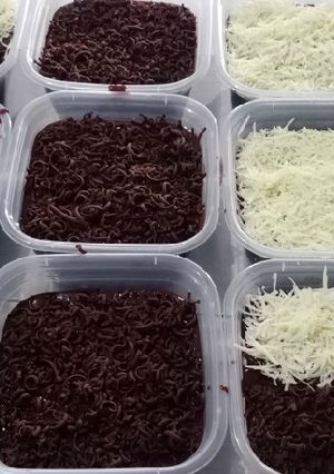 Foto resep Bolu Coklat Lumer