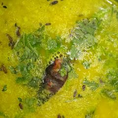 A picture of Bhaja moong daal.