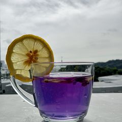 A picture of Butterfly pea flower.