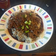 A picture of Beef with Spicy Garlic Sauce with Rice instant pot ip.