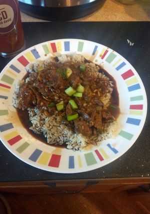 A picture of Beef with Spicy Garlic Sauce with Rice instant pot ip.