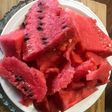 Alkaline -SEEDED (FEMALE)WATERMELON