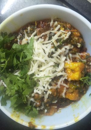 ચીઝ પાલક પનીર(Cheese palak paneer recipe in Gujarati) રેસીપી મુખ્ય ફોટો
