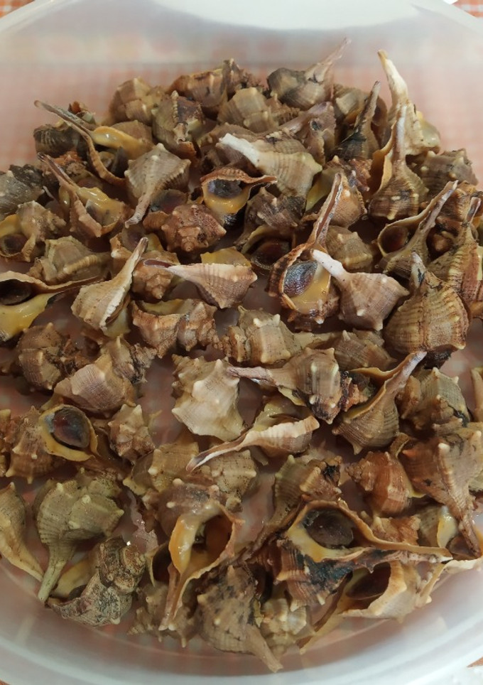 Una foto de Cañaíllas frescas. Cómo cocer y congelar
