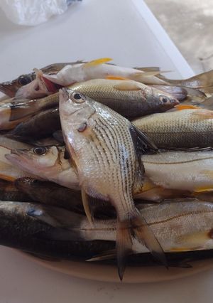 Una foto de Pescado frito