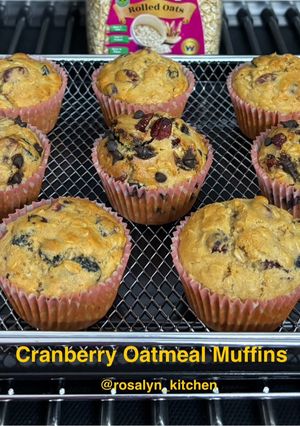 A picture of Cranberry Oatmeal Muffins.