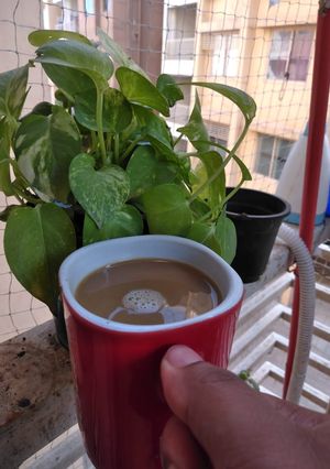 ফিল্টারড কফি (filtered coffee recipe in bengali) রেসিপির প্রধান ছবি