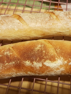 免揉麵包-法式長棍French Baguette 的食譜成品照片
