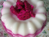 Puding Vanila Naga #9