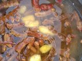 Tamarind juice