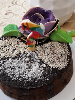 عکسی از دستور کیک خیس شکلاتی
