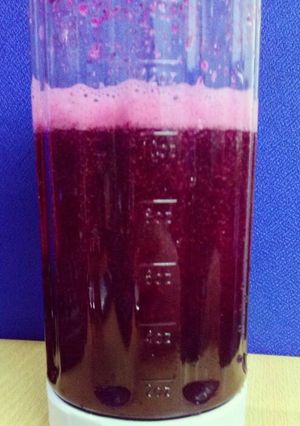 Foto resep Jus Beetroot (mix)
