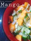 Three coloured Mango Salsa