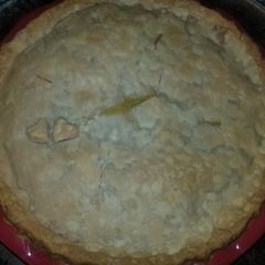 A picture of Chicken Pot Pie.