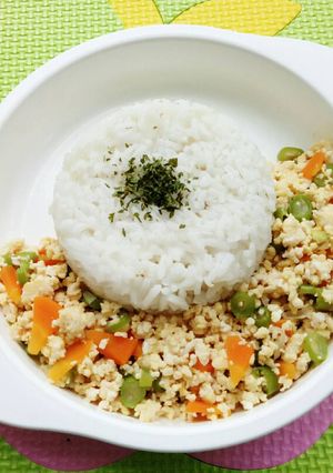 Foto resep Nasi Tahu Orak Arik (Mpasi 12m+)