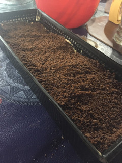 Una foto de Torta helada de galletitas