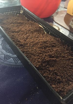 Una foto de Torta helada de galletitas