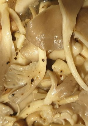 炒秀珍菇 的食譜成品照片