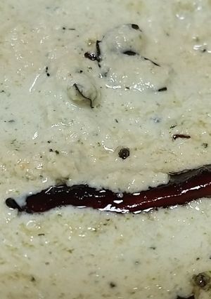 A picture of Coconut Chutney.