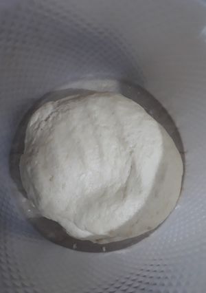 A picture of Pizza Dough.