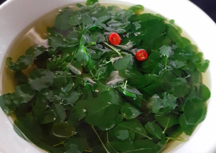 Bagaimana Menyiapkan 11. Sup simple dan sehat daun kelor Anti Gagal