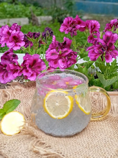 عکسی از دستور شربت نعناع