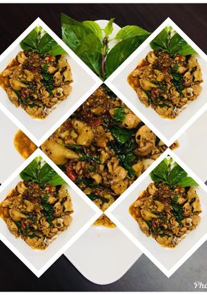 รูปของ ไก่ผัดโหระพา
