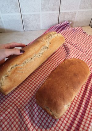 Φωτογραφία της συνταγής Ψωμί του τοστ με μέλι 🍞