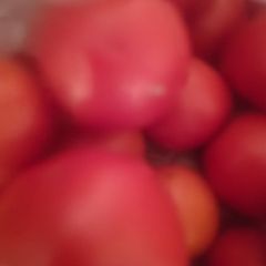A picture of Tomato Thokku.