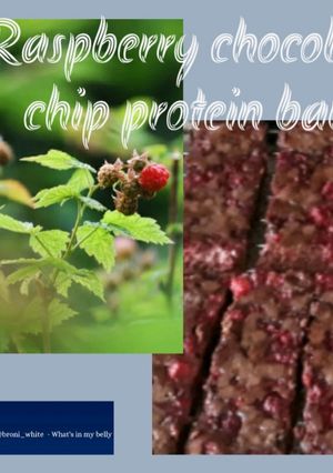 A picture of Raspberry chocolate chip protein bars.