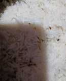 Jeera rice