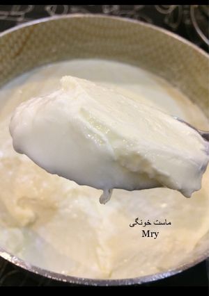 عکسی از دستور ماست خونگی