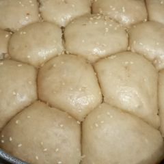 Honey comb 🍞 A picture of Honey comb 🍞.