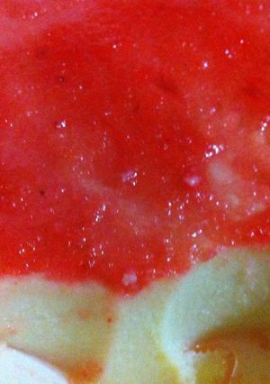 Foto resep Cheese Cake Homemade anti gagal anti eneg