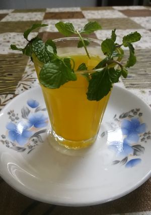 જીંજર મીન્ટ ઉકાળો (Ginger Mint Ukalo Recipe In Gujarati) રેસીપી મુખ્ય ફોટો
