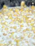 Creamed Corn aus dem Dutch Oven (Sahne-Mais)