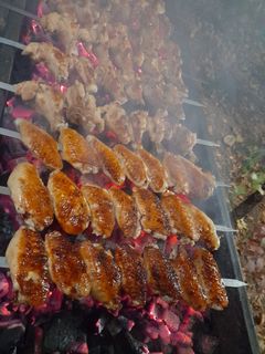 عکسی از دستور بال کبابی