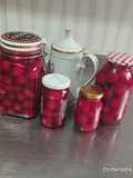 Cebollitas ocañeras