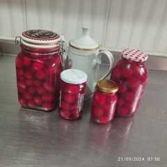 Una foto de Cebollitas ocañeras