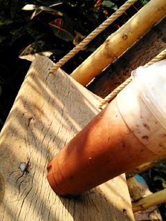 รูปของ โกโก้เย็น