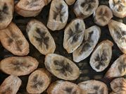Hình ảnh của chuối sấy