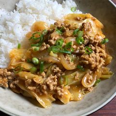 A picture of Mince & Cabbage Curry Stew.