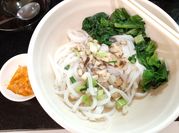 Gambar konjac noodle